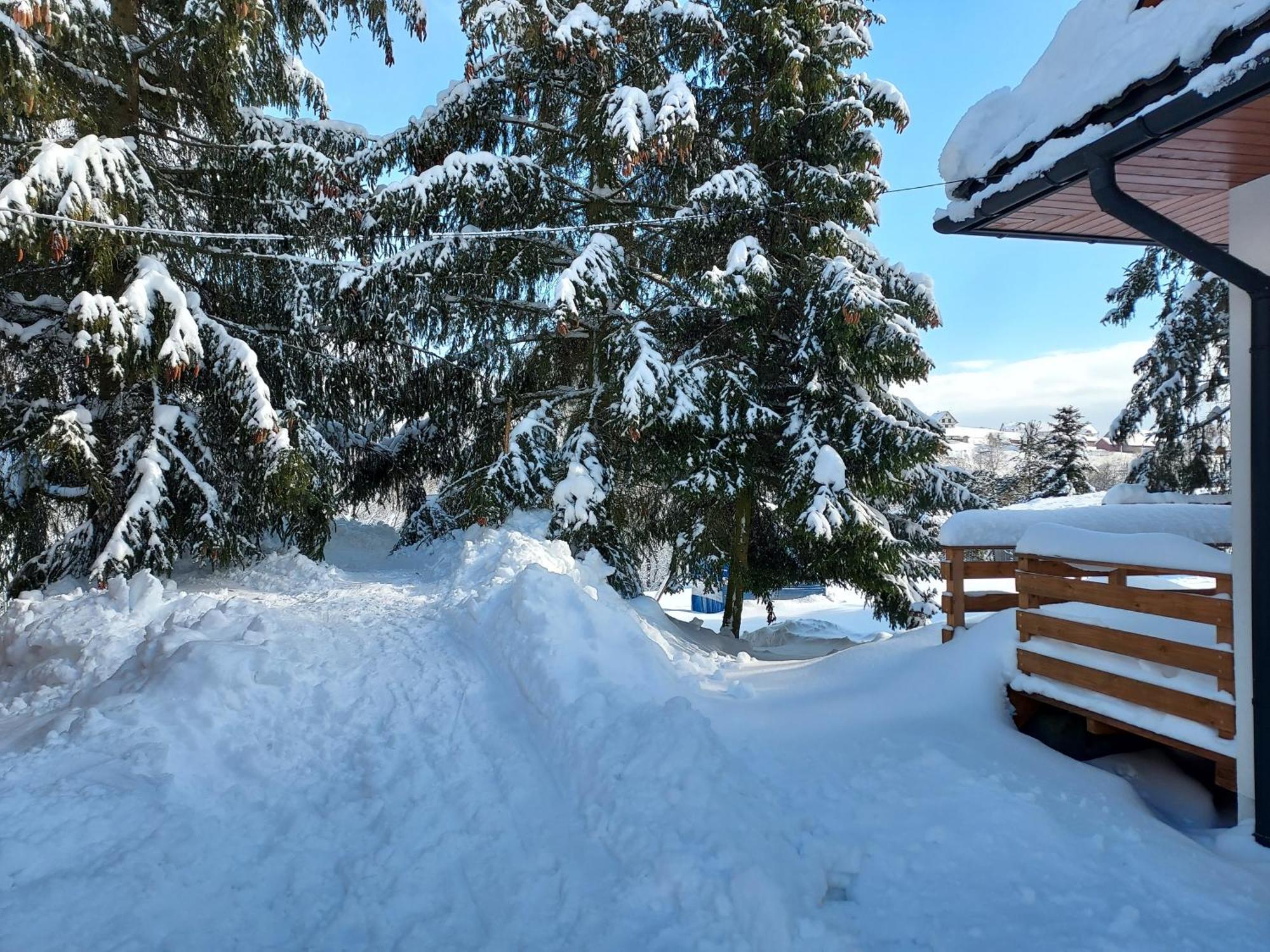 Noclegi Nad Czarna Orawa Podwilk Exterior foto